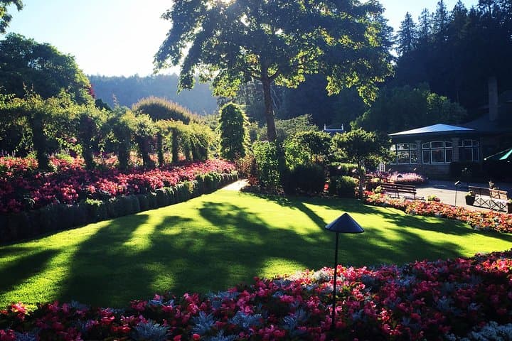 סיור בעיר ויקטוריה וגן בוצ'ארט וכרטיסי כניסה