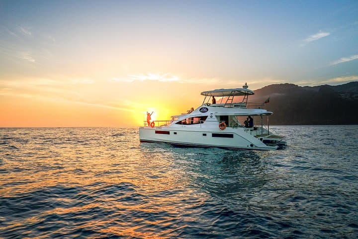 טיול יוקרה לצפייה בלווייתנים VipDolphins