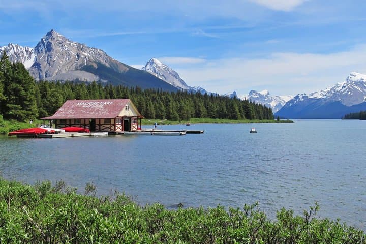 Jasper Wildlife and Sightseeing Tour with Maligne Lake Hike
