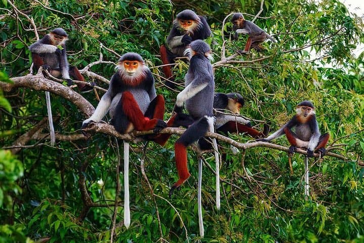 Hue to Dn/Hoi An: Hai Van Pass, beaches & Mt Monkey or vice versa