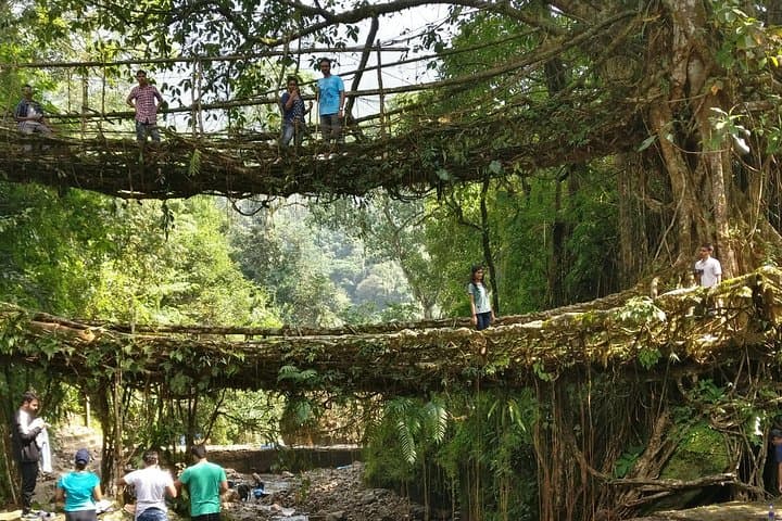 6 ימים/5 לילות אסאם ומגליה