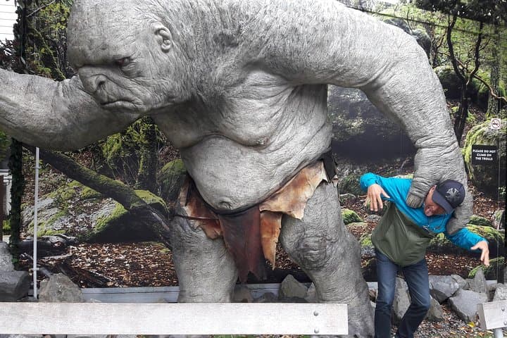 סיור חצי יום בוולינגטון