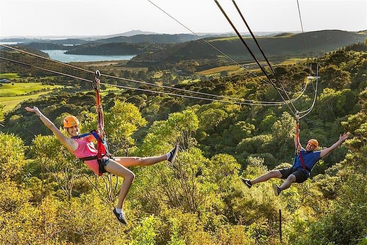 Waiheke Island: Zipline And Forest Walk