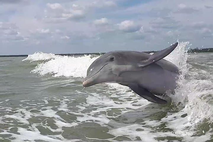 סיור אקולוגי במנועים של קבוצות קטנות באוורגליידס