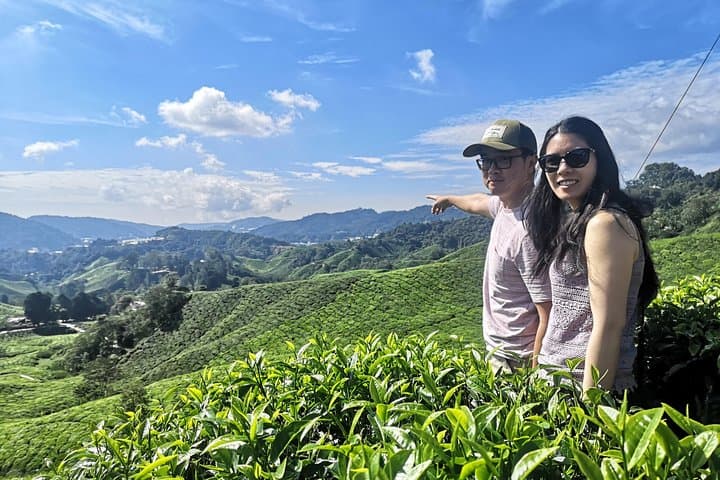 Cameron Highland Best Day Tour from Ipoh with Lunch ( Day Trip)
