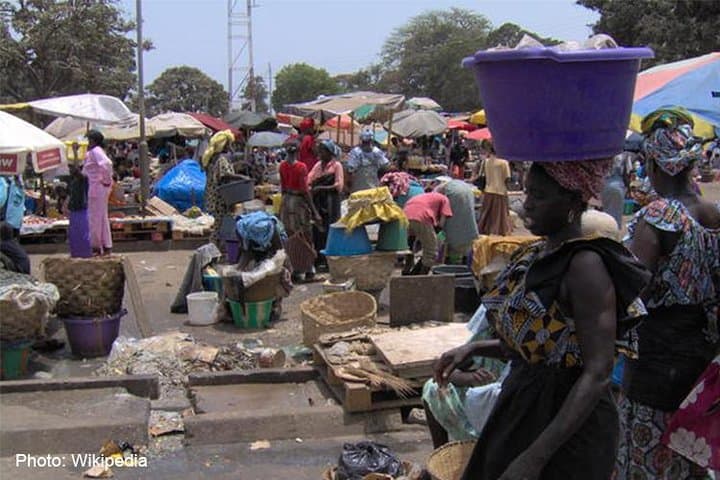 ראו הכל – סיור ספארי