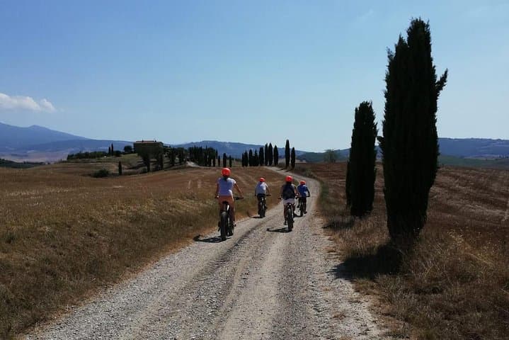 חוויה של סיור יין באופניים חשמליים