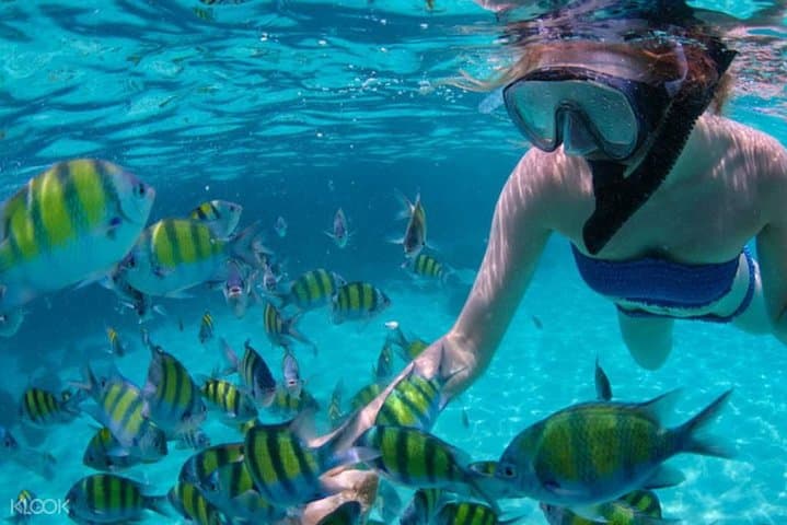 קפיצה בין האיים במקטאן סבו עם ארוחת צהריים - גילוטונגן, קאוהאגן, נלוסואן