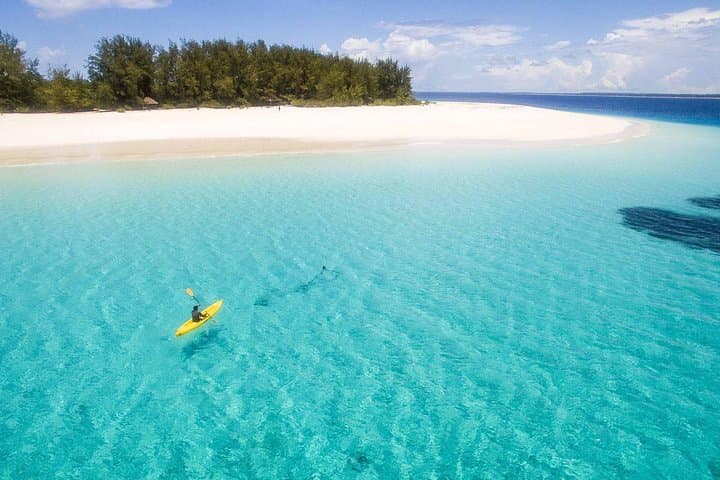 Full-Day Mnemba Island Live Aquarium & Turtle House - Zanzibar