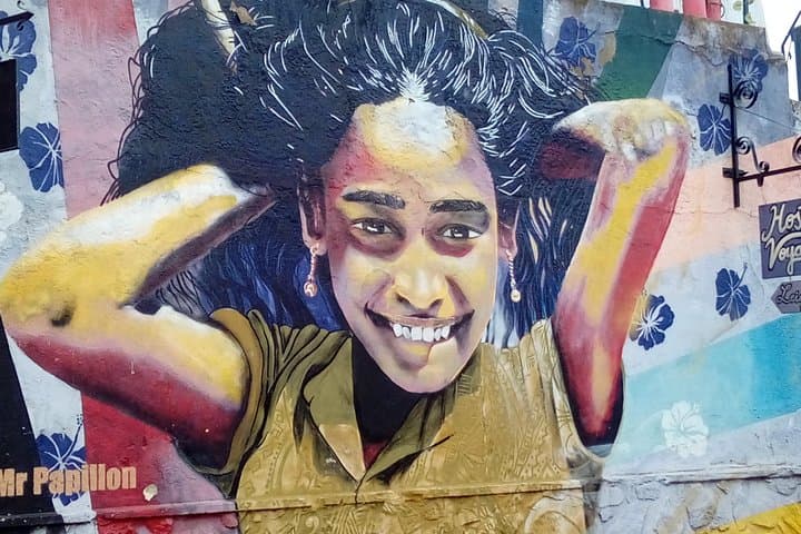 Shared Tour in Valparaiso: Street Art, Funiculars and Port