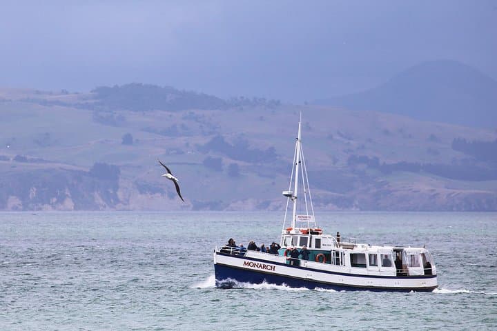 Otago Peninsula Wildlife Cruise with Monarch