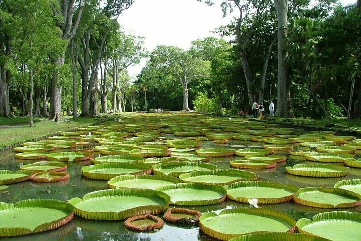 Private taxi : North guided tour of mauritius.