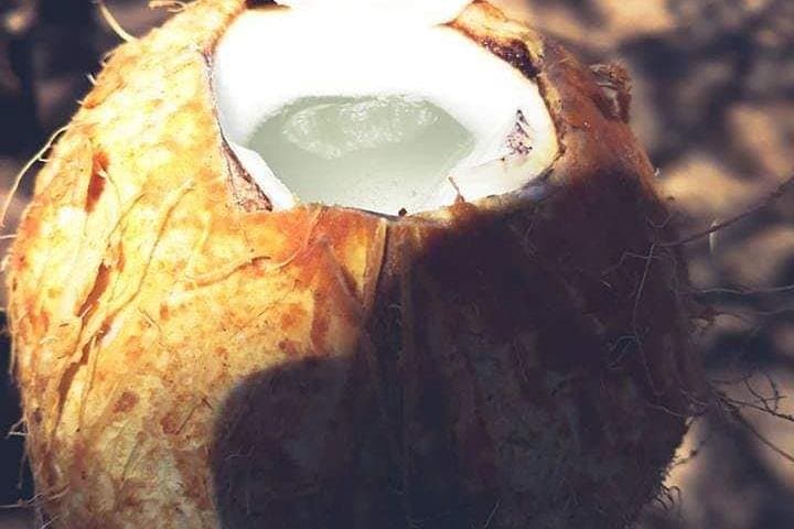 Santiago Island Experience - Culture, Nature & Tarrafal Beach