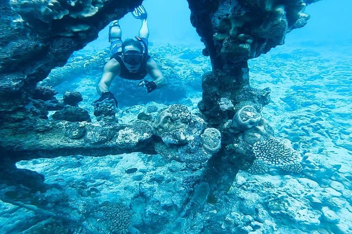 Ariki Adventures: Premium Sea Scooter Shipwreck Adventure