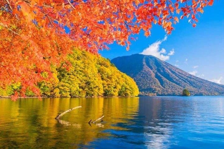 טיול פרטי של יום מלא בניקו עם מדריך מורשה ממשלה