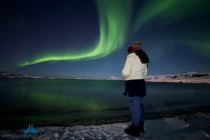 - Northern Lights Chase with Photo Package Included