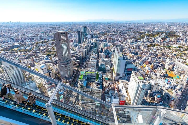 Tokyo Private Tour: One Day Highlights and Optional Shibuya Sky