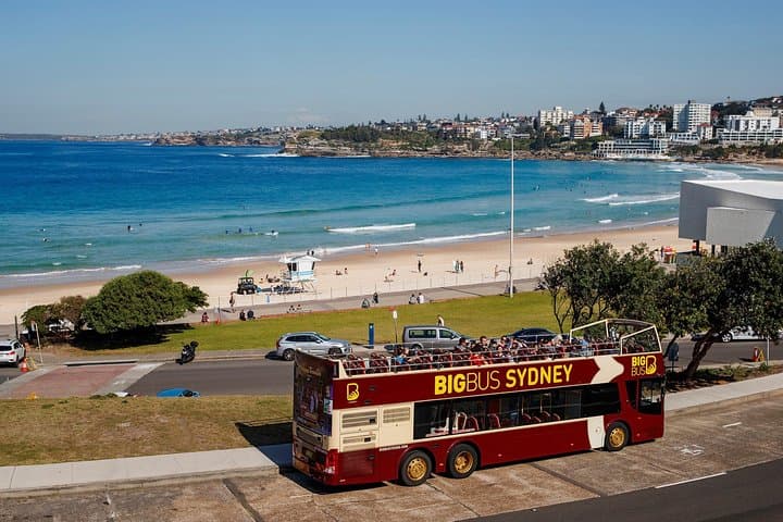 Sydney and Bondi Big Bus Hop-on Hop-off Tour with Optional Cruise