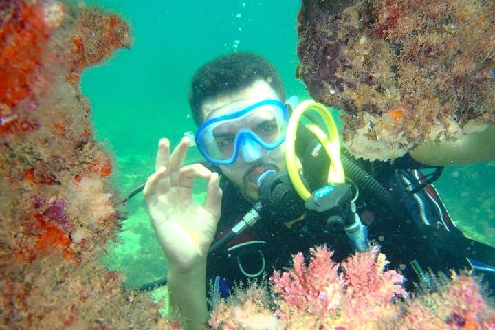 יוזמת צלילה (יוזמה)