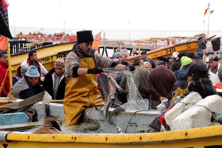 ואלפו ביום אחד: אותנטי + מפורסם! סיור הליכה חצי פרטי ותחבורה ציבורית.