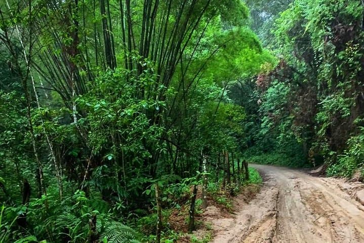 MINCA TOUR - Explore waterfalls and discover the origin of coffee and cocoa
