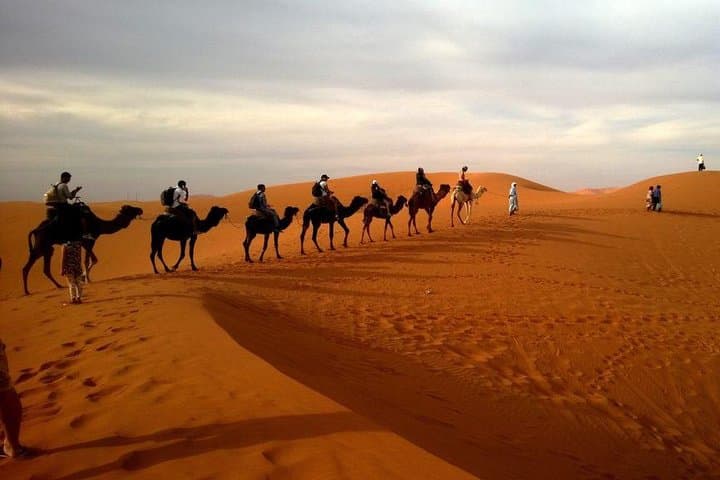  Dubai Evening4x4Desert Safari,BBQ Dinner,Belly Dance,Camel Ride 