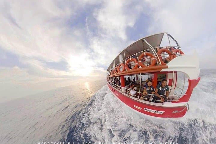 צפייה בלווייתנים מיריסה עם איגל איי