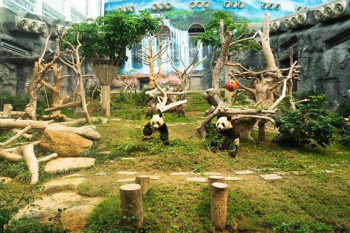 סיור פרטי במקאו עם סוד.