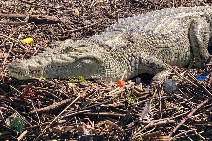 3 ימים, ארבה מינץ, כפר דורזה וכפר קונסו