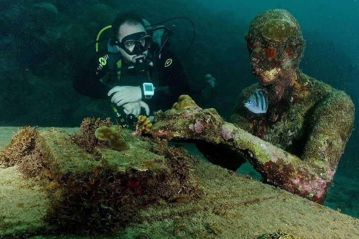 חבילה כוללת יום שלם של שנורקלינג ושיט שקיעה עם כלבי סירה.