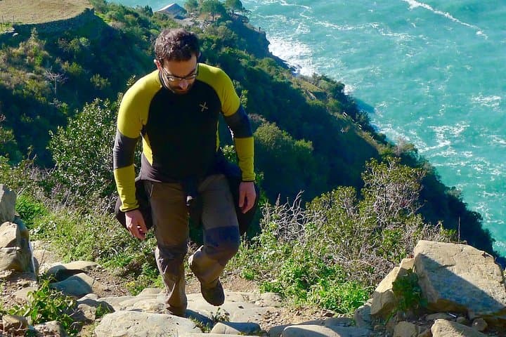 סיור בכרם וטעימת יין