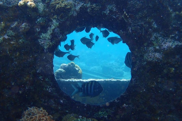 גלה צלילה בברמודה