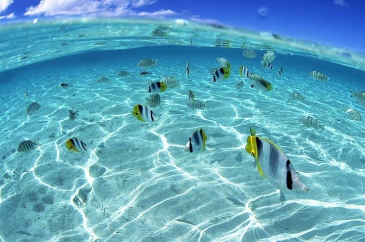 Hurghada: Orange Bay Island Trip with Snorkeling, Lunch & Drinks