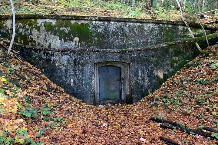 טיול הליכה לאתר הנשר