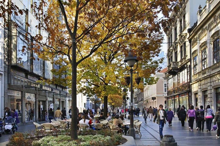 בלגרד: סיור הליכה קבוצתי קטן של 3 שעות.