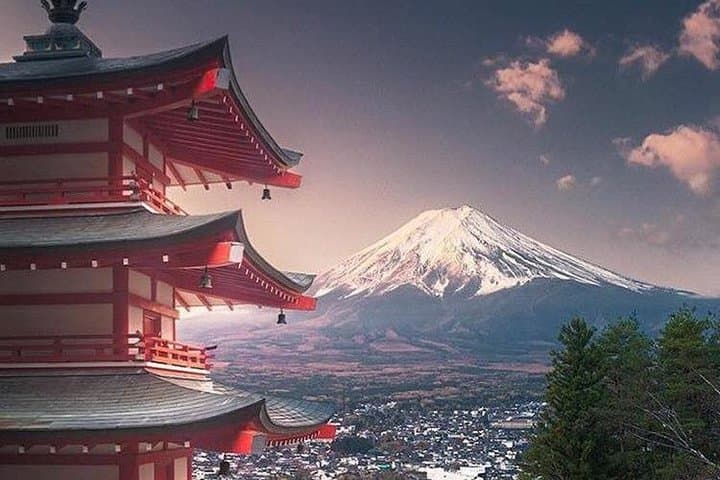 Private Tour to Mt. Fuji and Hakone (Green Number Plates)