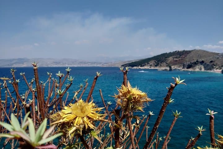 סיבוב חצי יום בדרום אלבניה (עין כחולה, טירת לקורשי, קסמיל)