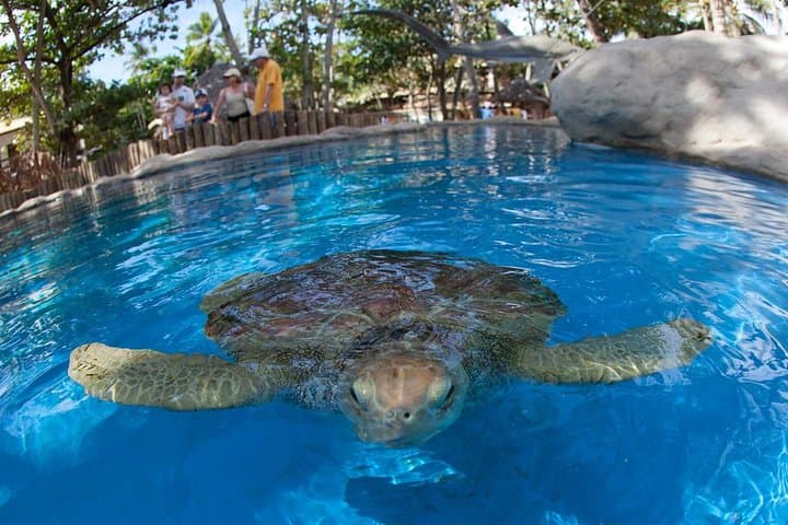 סיור בפראיה דו פורטה וגואראג'ובה, יוצאים מסלבדור-בהיה.