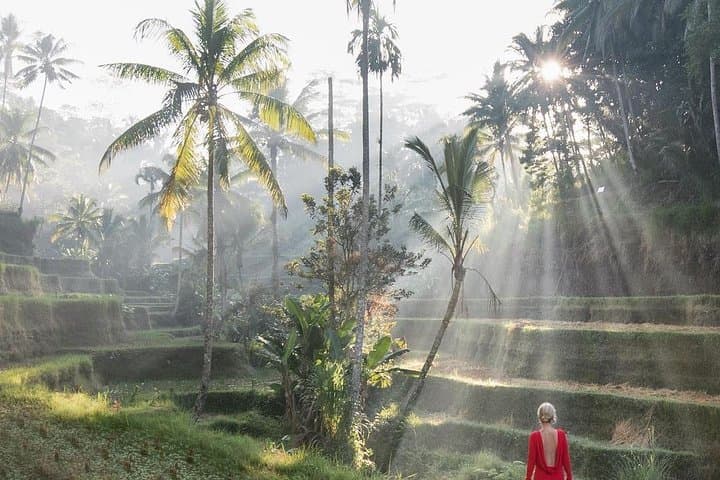 טיול יומי אישי בבאלי עם נהג פרטי ו-Wi-Fi חינם