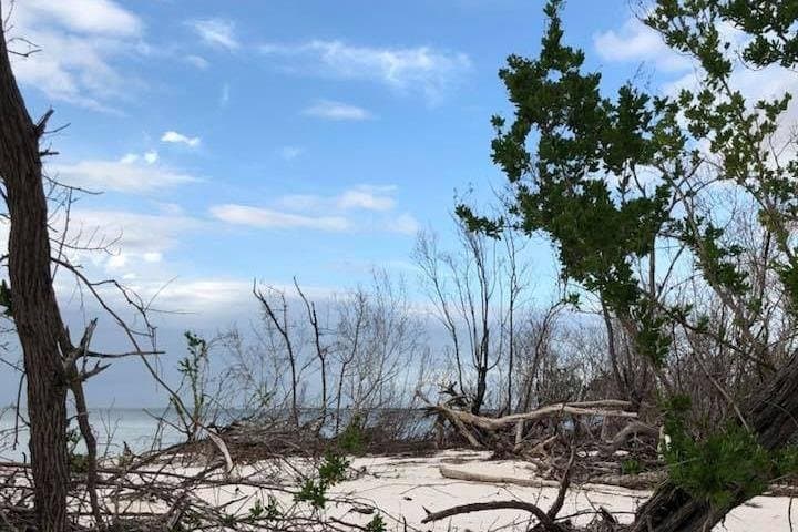 סיור דולפינים, צפרות ואיסוף קונכיות של שעתיים במקווארקו איילנד