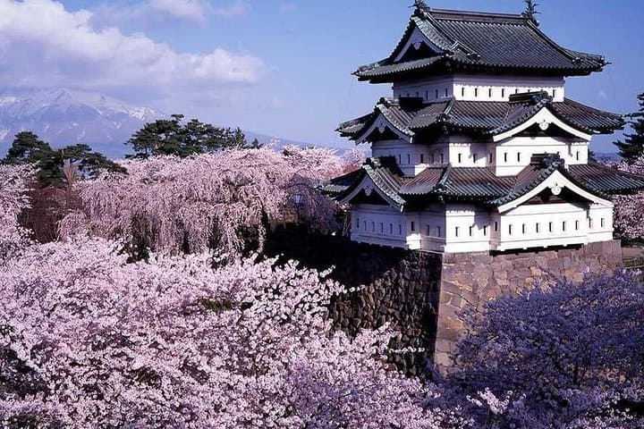 Hirosaki 6hr Private Tour with Government-Licensed Guide
