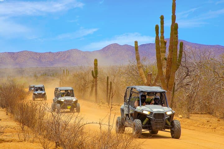  OffRoad 4X4 UTV Adventure with unlimited Lunch & Tequila 