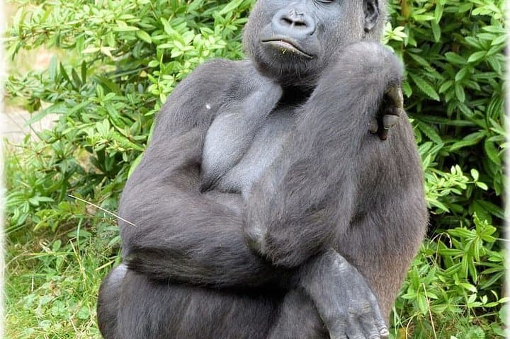 ספארי שמורת הביודיברסיטה דג'ה 7 ימים / 6 לילות