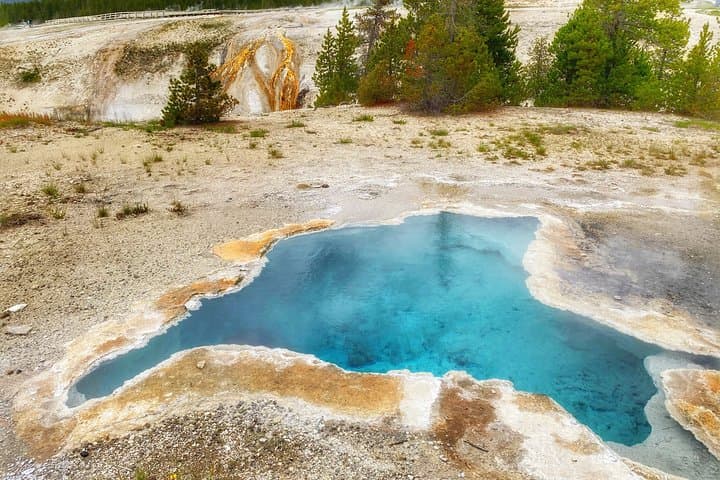  Private Yellowstone Lower Loop Tour from Bozeman