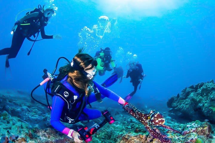 סנרקלינג בטלאווילה הריף של סנט אן
