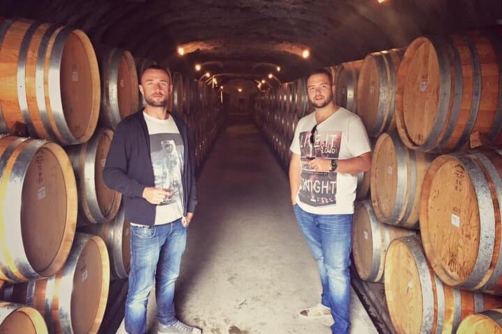 Waiheke Island Premium Wine Tour with Tastings