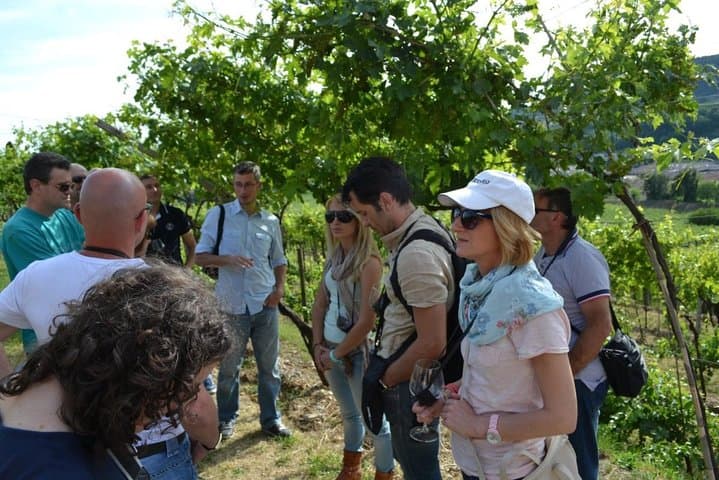 טיול יום מVERONA לאגם גארדה