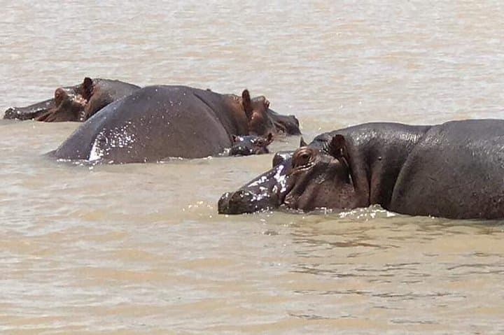 סיור פרטי של יומיים בבהיר דאר ומפלי הנילוס הכחול