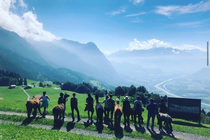 Lama hike with delicious BBQ in the middle of the forest