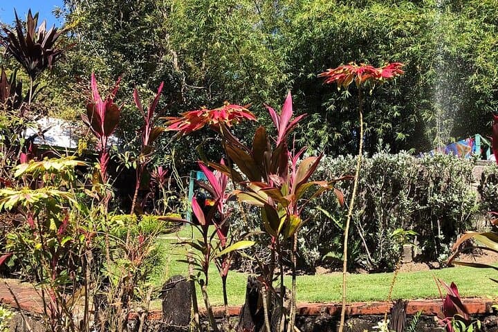 הסיור הגדול של סנט קיטס